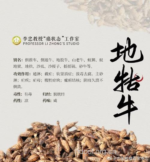 地牯牛的功效与作用