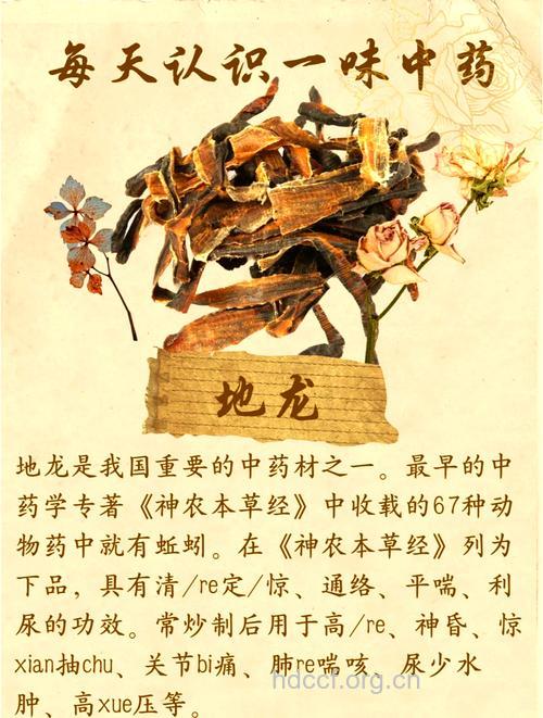 匐地龙的功效与作用