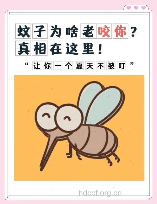 蚊子喜欢咬你是什么原因呢？