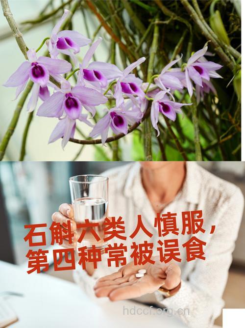 蛾眉石凤丹的功效与作用