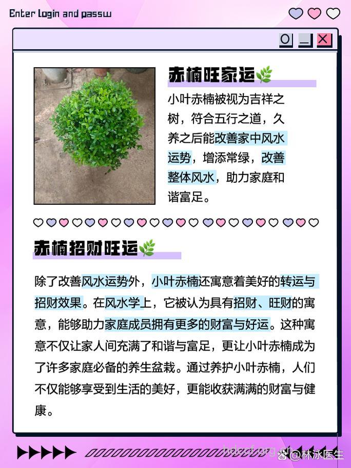 赤楠的功效与作用