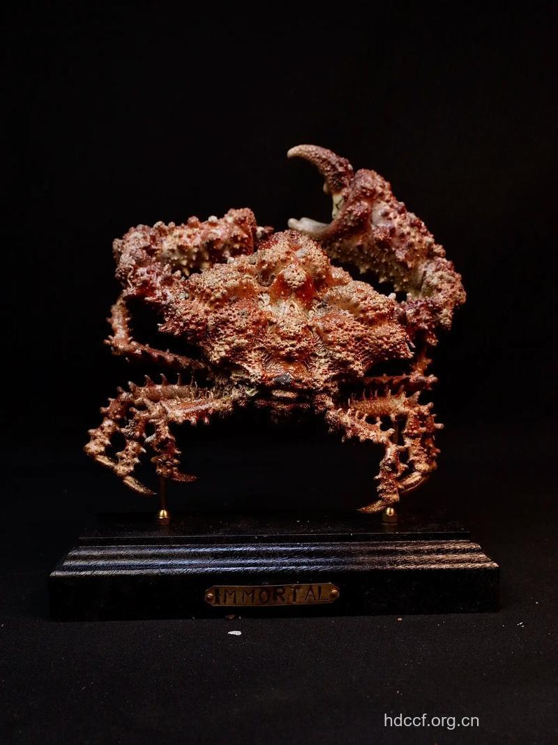 糙壳菱蟹的功效与作用