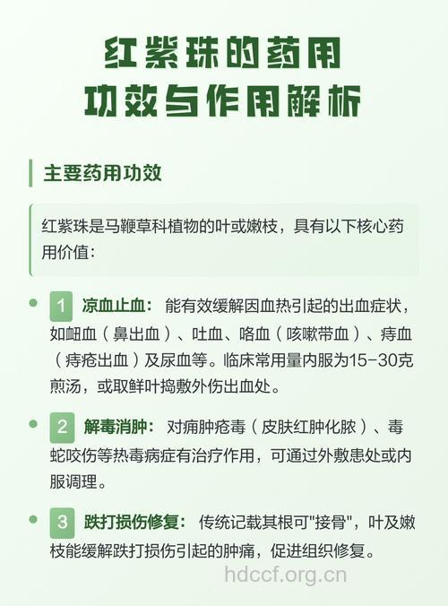 红紫珠的功效与作用
