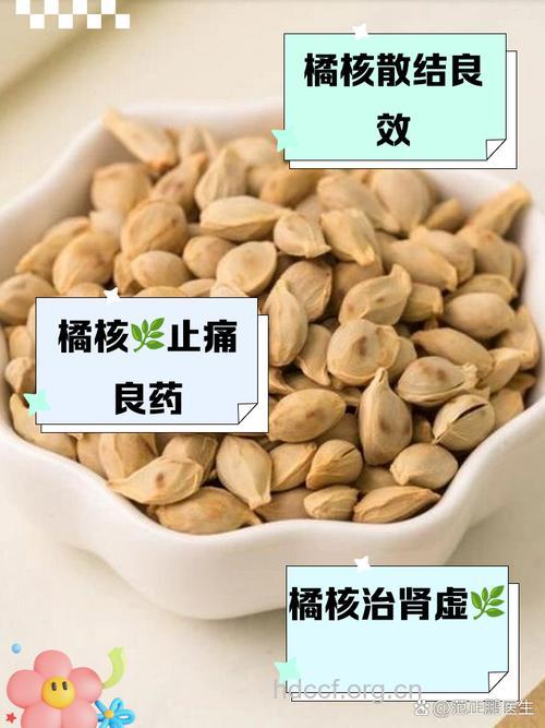 橙子核的功效与作用