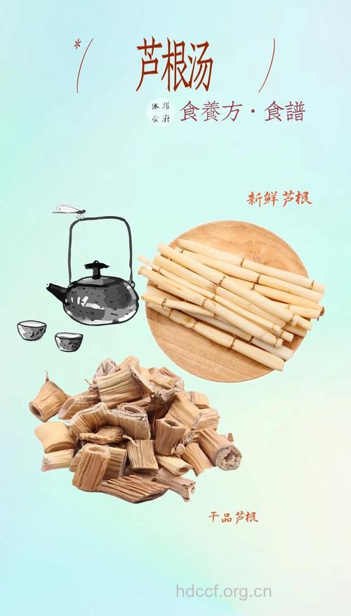 喝点芦根茶 赶走红鼻子