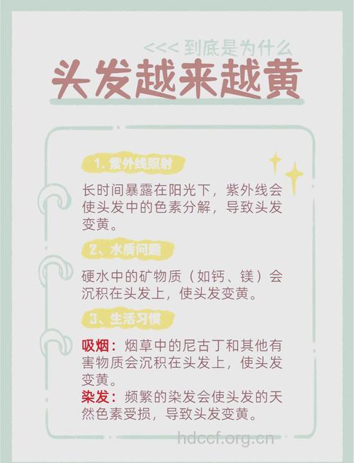 枯黄头发中医的调理方法