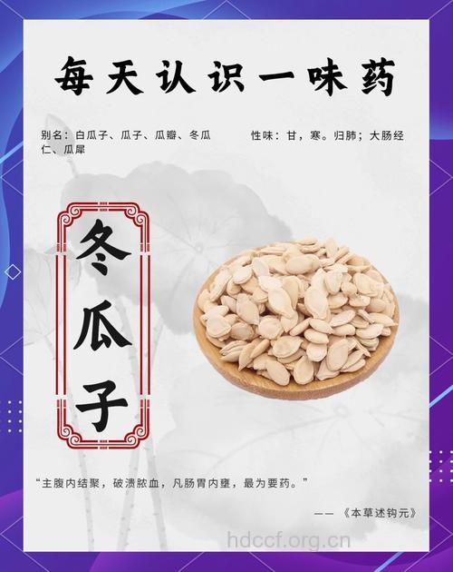 冬瓜子功效与作用