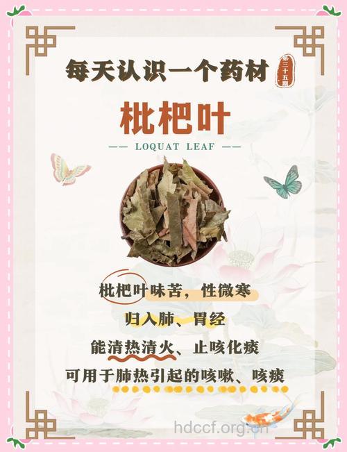 枇杷叶金桔叶药浴可以治疗酒糟鼻