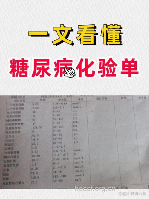 教你看懂糖尿病化验单