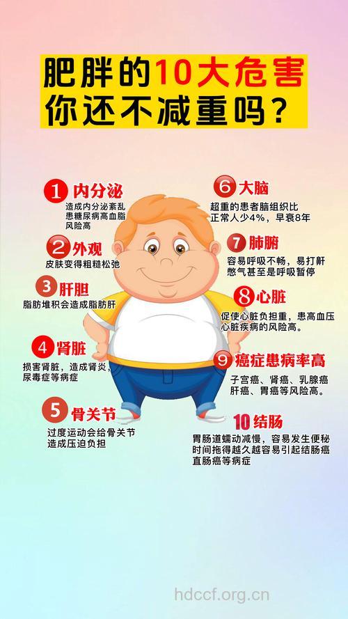 为什么肥胖容易患糖尿病