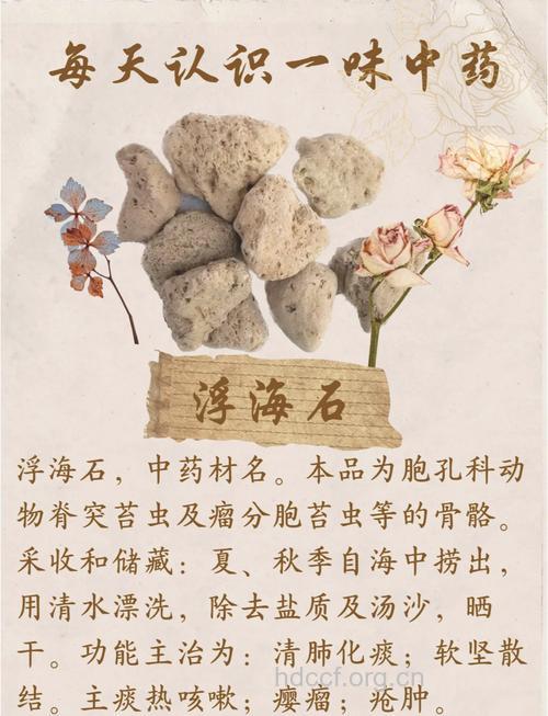 浮石的功效与作用