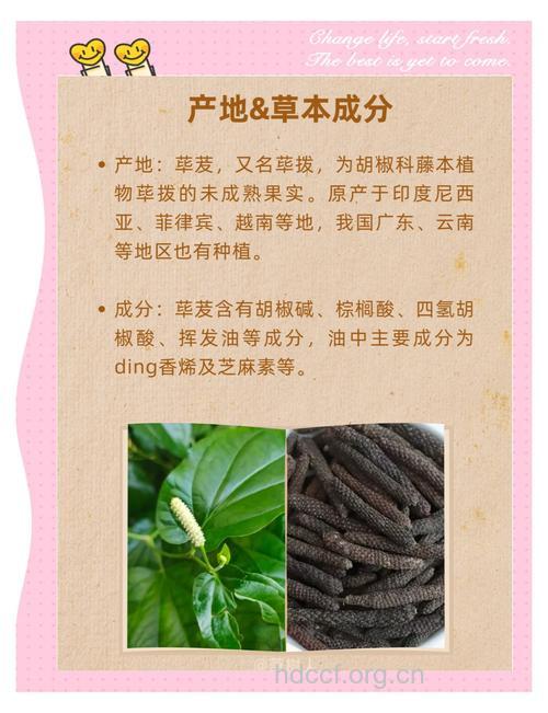 岗柃的功效与作用