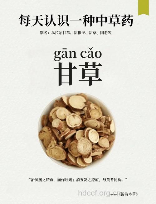 甘草头的功效与作用