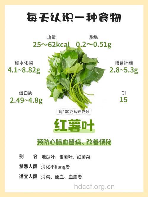 番薯藤的功效与作用