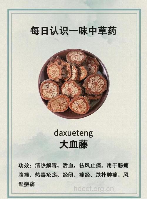 红血藤的功效与作用