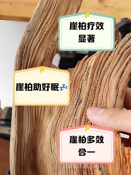 朝鲜崖柏的功效与作用