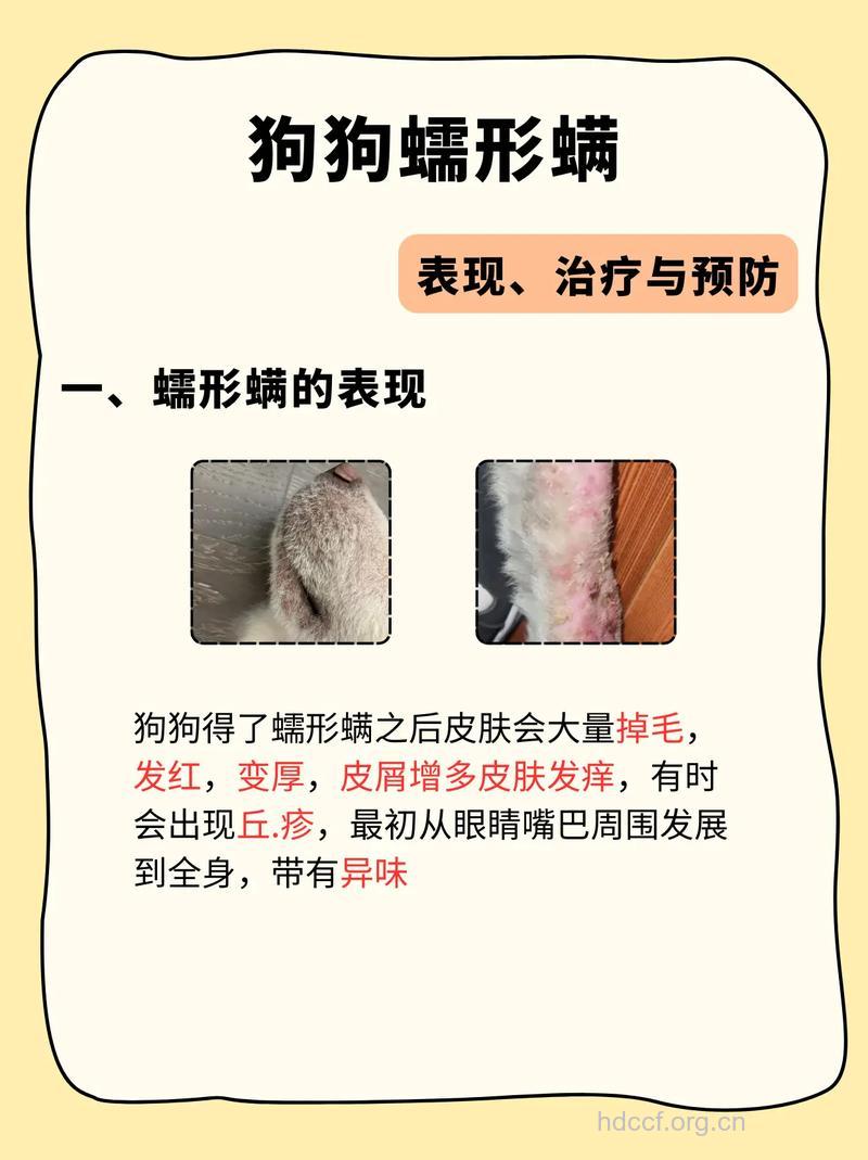 有哪些防治蠕形螨方法