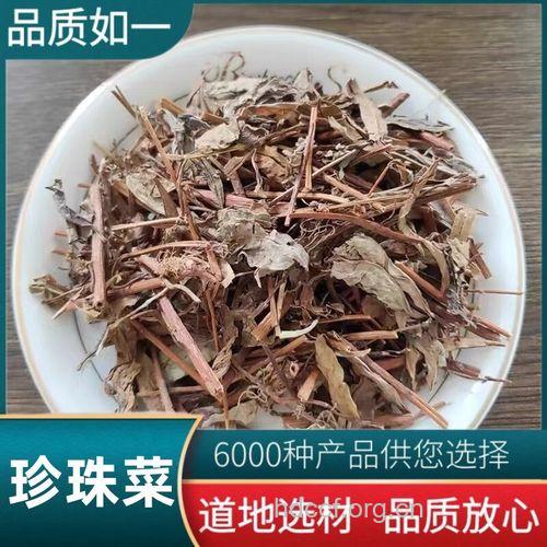 单条草的功效与作用