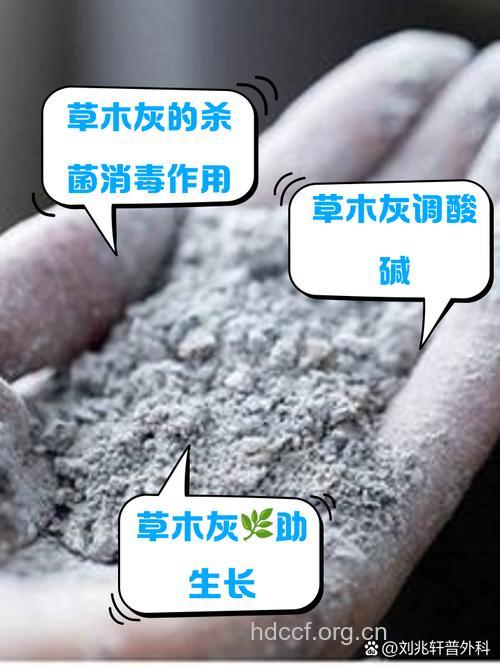 草木灰的功效与作用