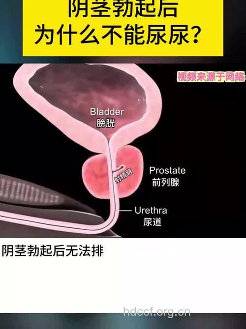 男人想要壮阳 撒尿时不许说话