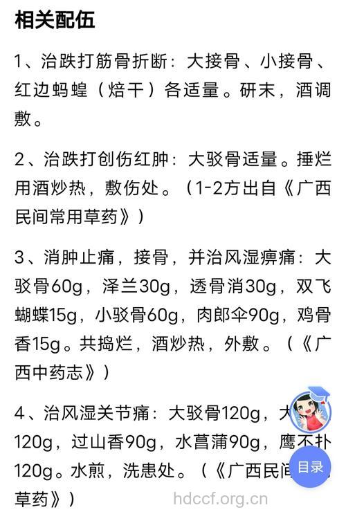 大驳骨的功效与作用