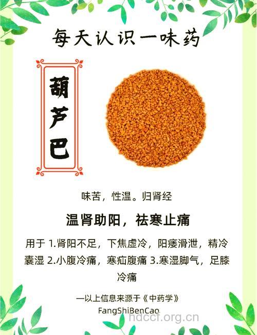 胡芦巴的功效与作用