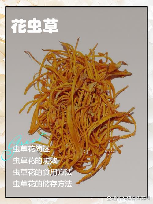 虫莲的功效与作用