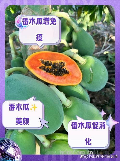 番木瓜的功效与作用