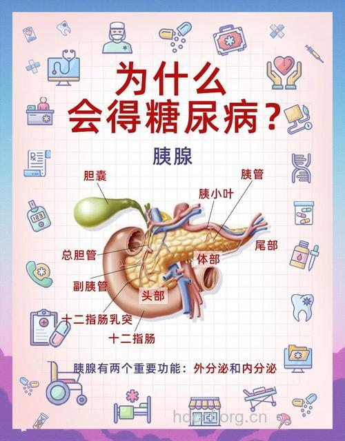 糖尿病与胰腺癌的关系