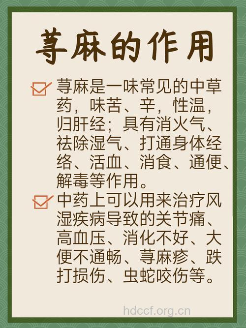 大荨麻的功效与作用