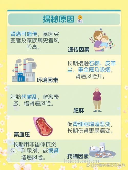男人为何容易患肾癌