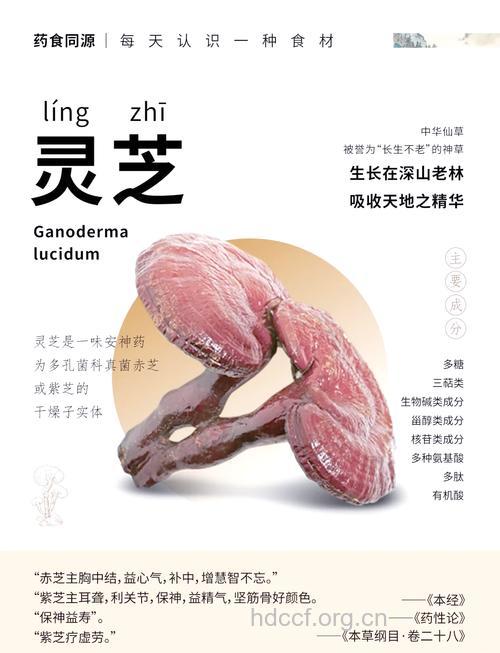 草灵芝的功效与作用