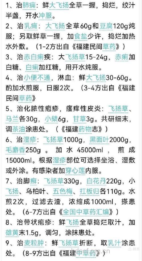 大飞扬草的功效与作用