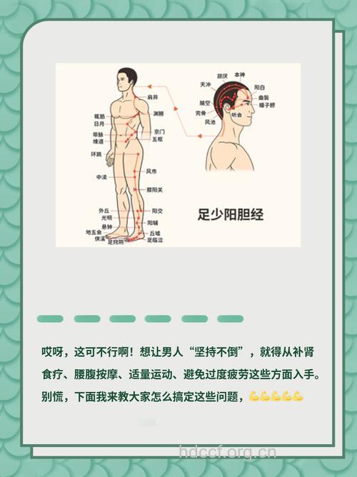 男性性爱的中医养生法则