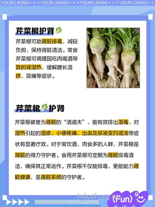 高山芹根的功效与作用