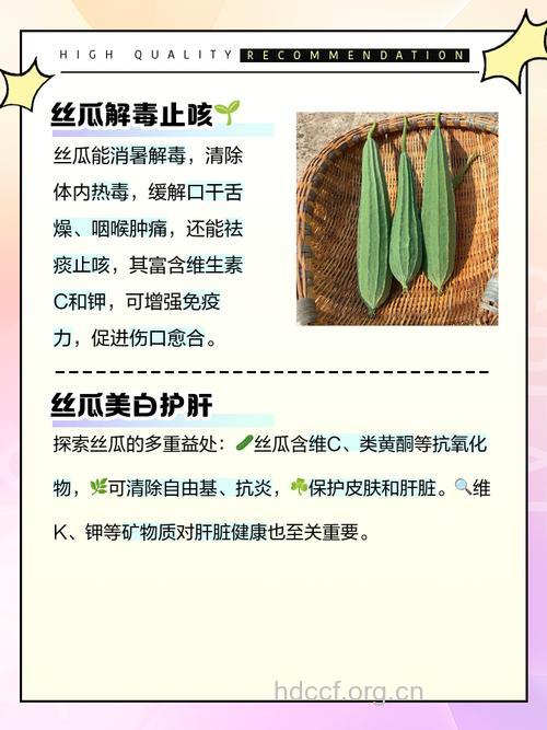 丝瓜 女性养生不可少