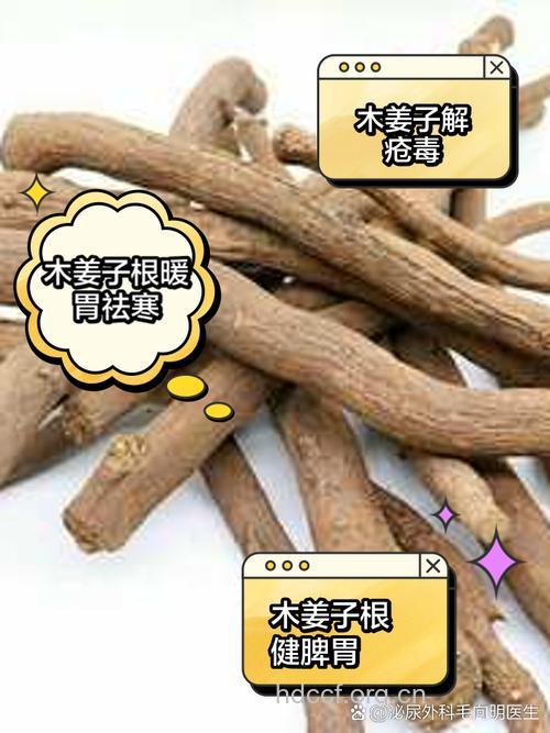 红叶木姜子根的功效与作用