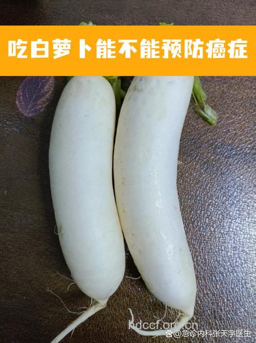 生吃萝卜既防癌又抗癌