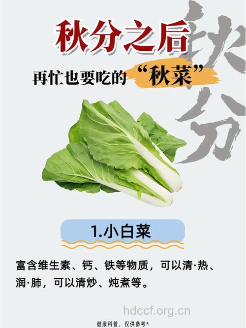 秋季养生要多吃蔬菜