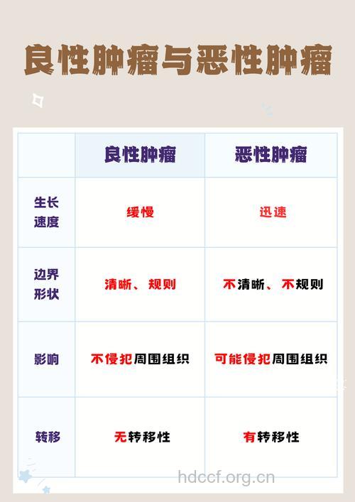 癌症与肿瘤是同一种病吗