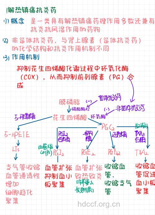 解析：药疹的发病机理