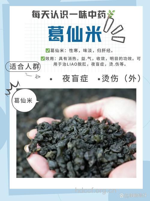 葛仙米的功效与作用