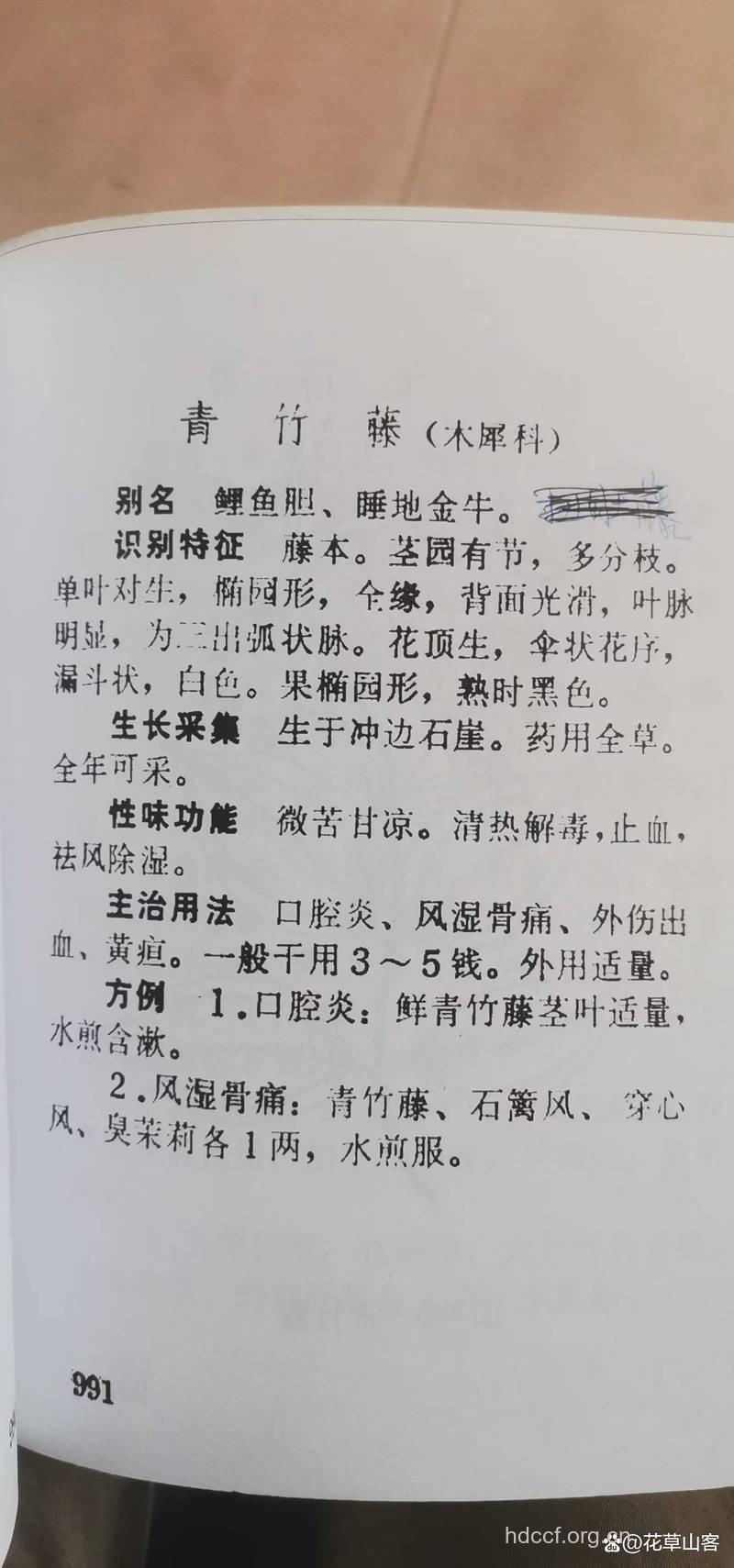 厚叶素馨的功效与作用