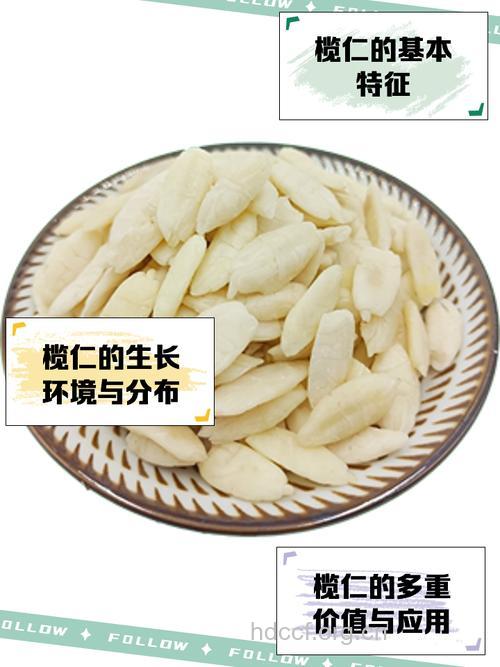 橄榄仁的功效与作用