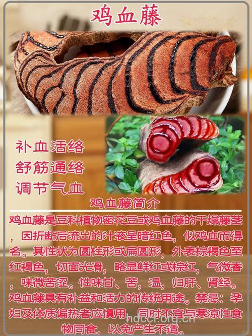 凤庆鸡血藤的功效与作用