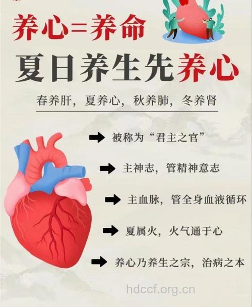 中医养生：夏季养生先养心