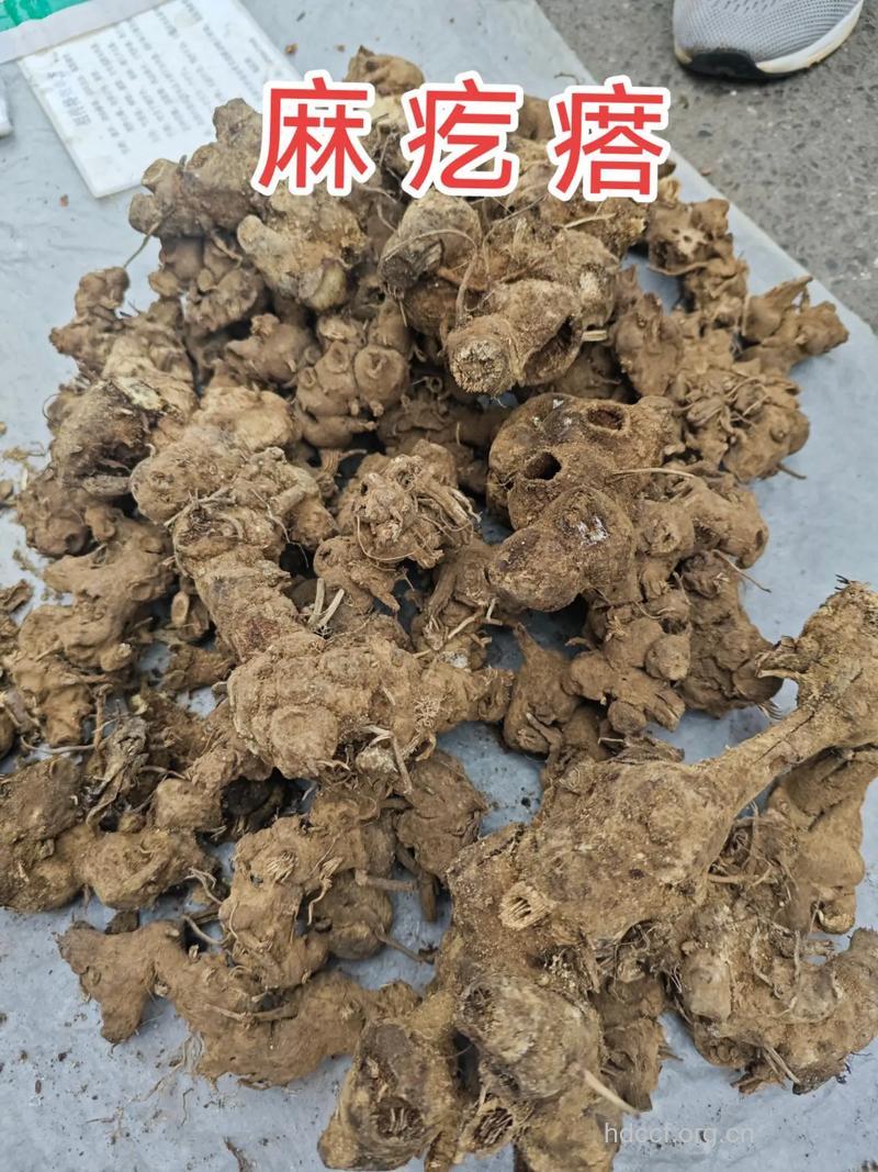大麻疙瘩的功效与作用