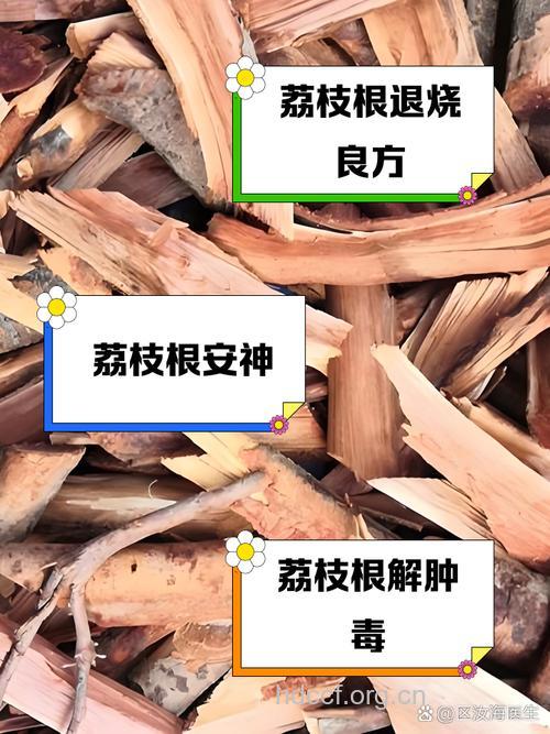 番荔枝根的功效与作用