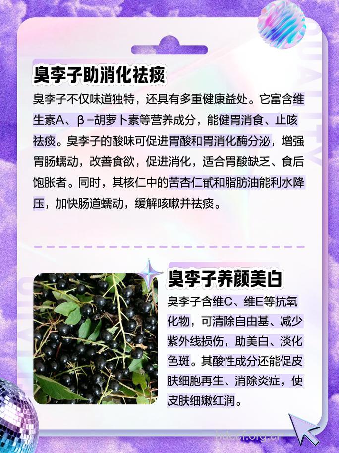 臭李皮的功效与作用