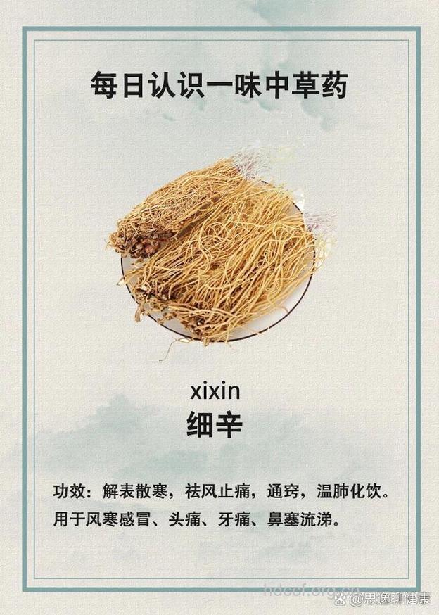华细辛的功效与作用